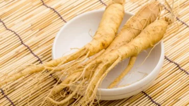 عشبة الجينسينج Ginseng