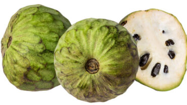 علاج للاسهال و تخفيف الامساك