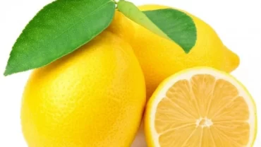 ليمون فيرنا/ lemon verna