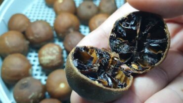 مصدر غني بالمغذيات و الفيتامينات