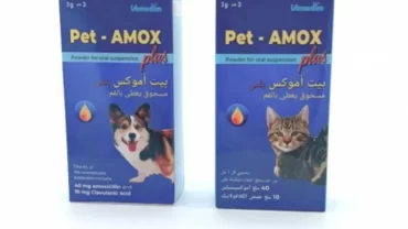 مضاد حيوي بت اموكس بلس / Pet – AMOX