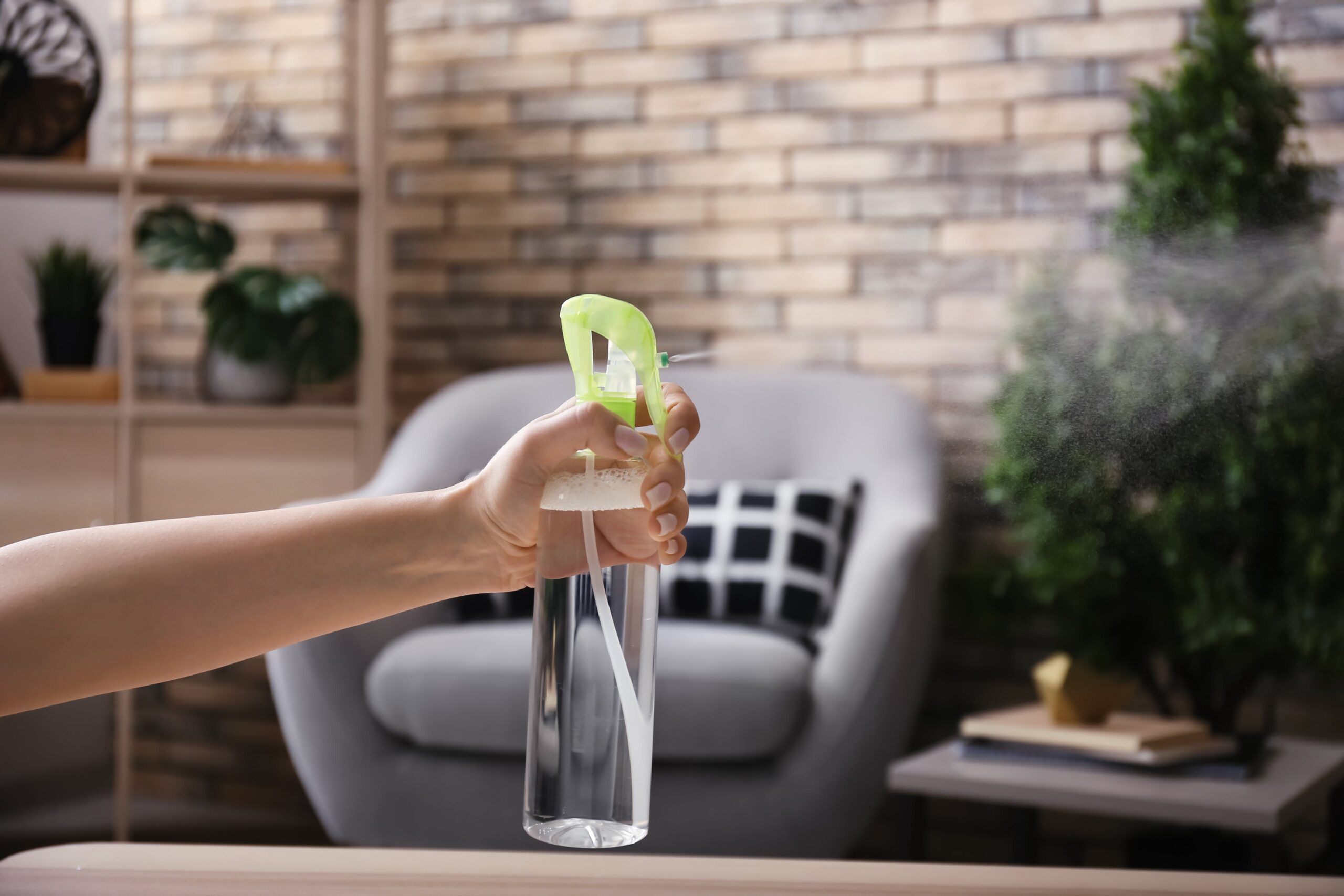 عناية المنزل